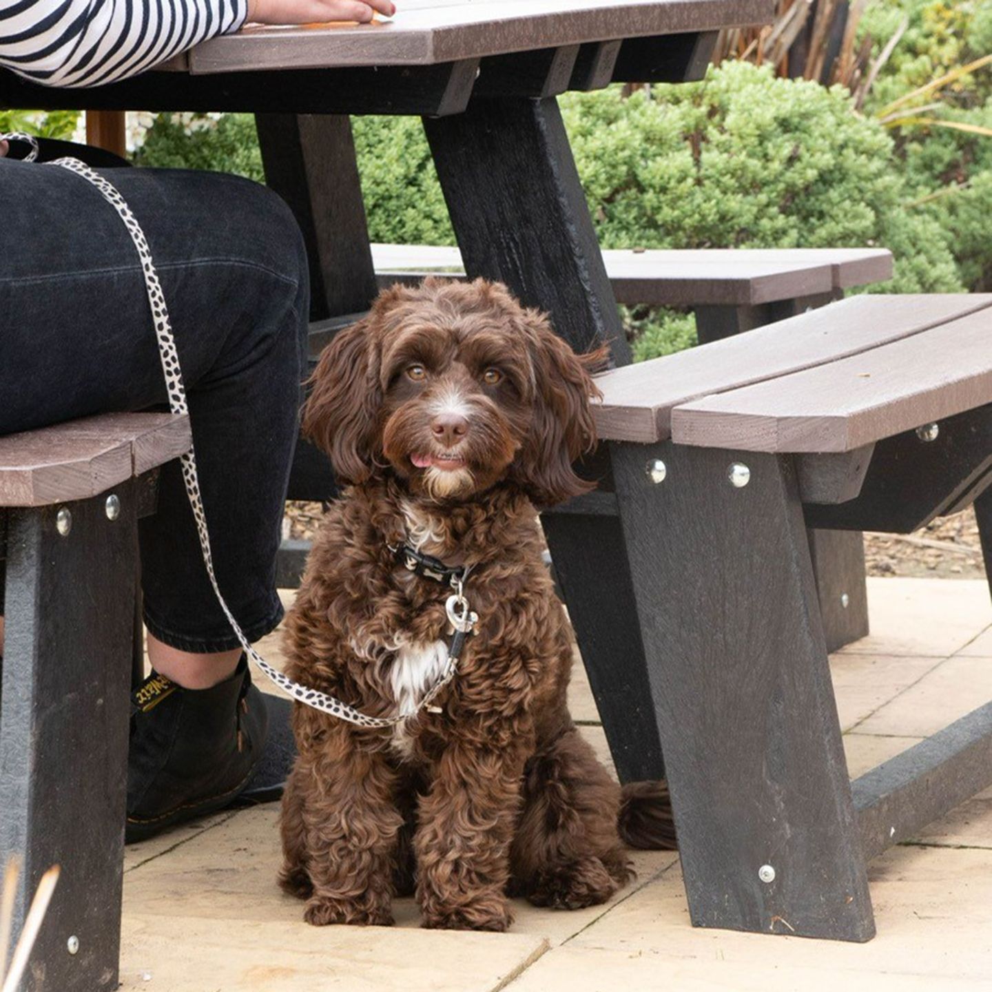 Your local dog friendly pub in Sutton